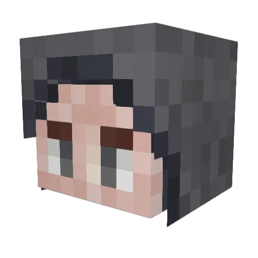 Dubsfish Minecraft avatar head, 3D render