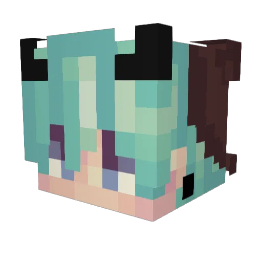 Dubstep2018 Minecraft avatar head, 3D render