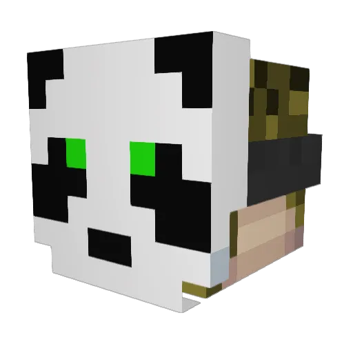 DubstepDiety Minecraft avatar head, 3D render