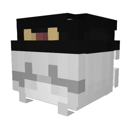 DubstepLuver Minecraft avatar head, 3D render