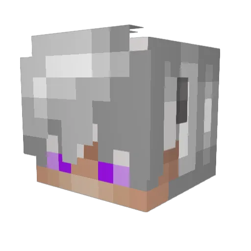 Dubstepking101 Minecraft avatar head, 3D render