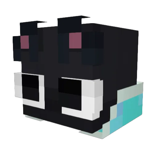 Duburrito Minecraft avatar head, 3D render