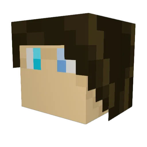 Dubyadee Minecraft avatar head, 3D render