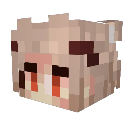DucAnh1310 Minecraft avatar head, 3D render