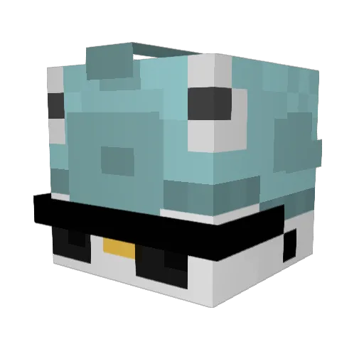 DucKFishh Minecraft avatar head, 3D render