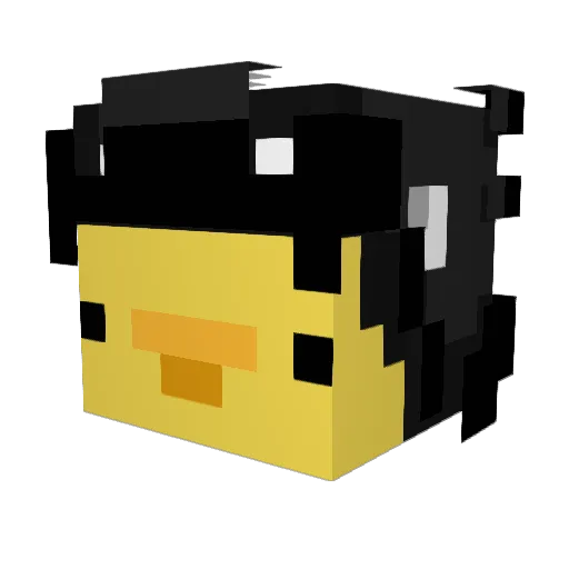 Duc_Bill123 Minecraft avatar head, 3D render