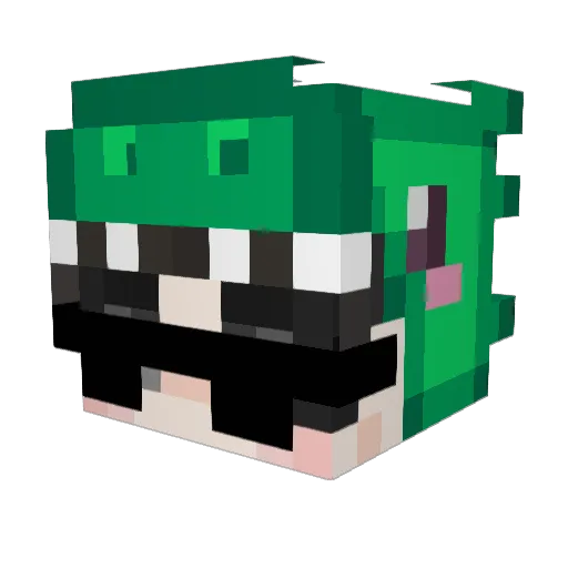 Ducapis Minecraft avatar head, 3D render