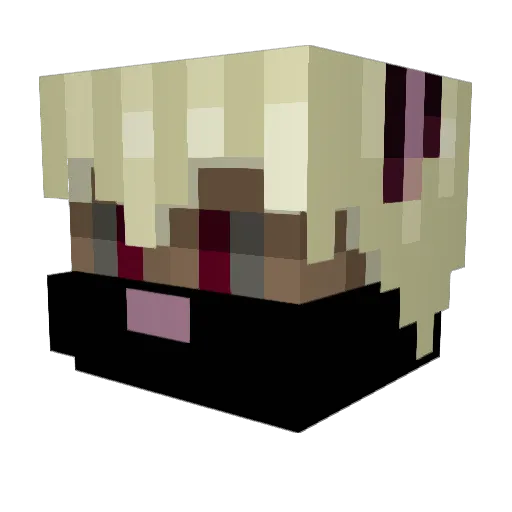 Duccler Minecraft avatar head, 3D render