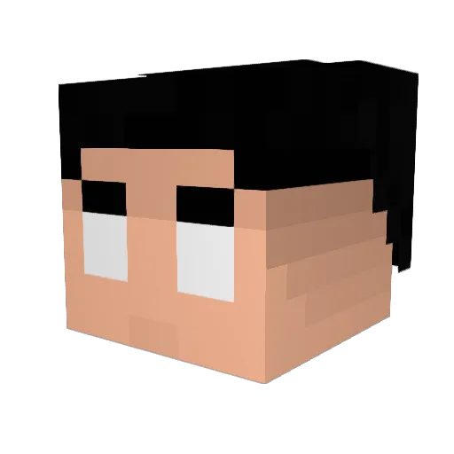 Ducezxxx Minecraft avatar head, 3D render