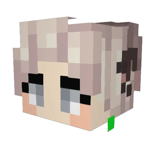 DuchBatinek Minecraft avatar head, 3D render