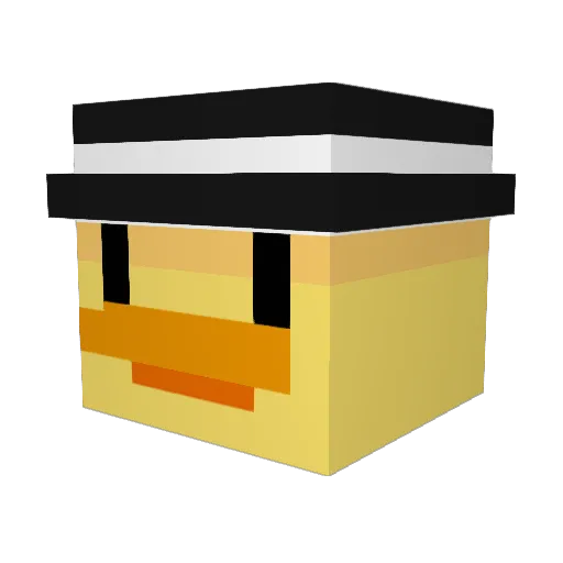 Minecraft-Avatar von Duck1fyy: Kopf als 3D-Render