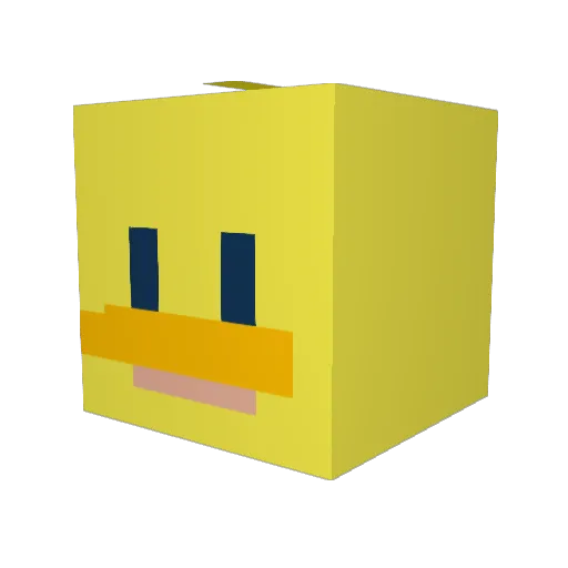 Duck2021 Minecraft avatar head, 3D render