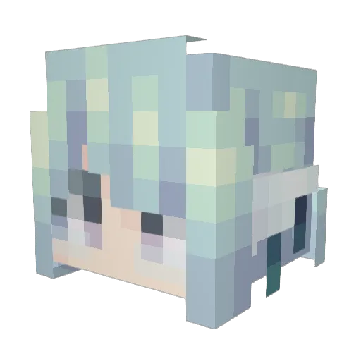 Duck524 Minecraft avatar head, 3D render