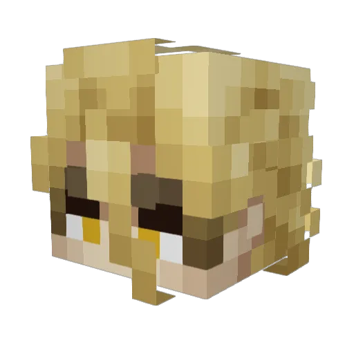 Duck912 Minecraft avatar head, 3D render