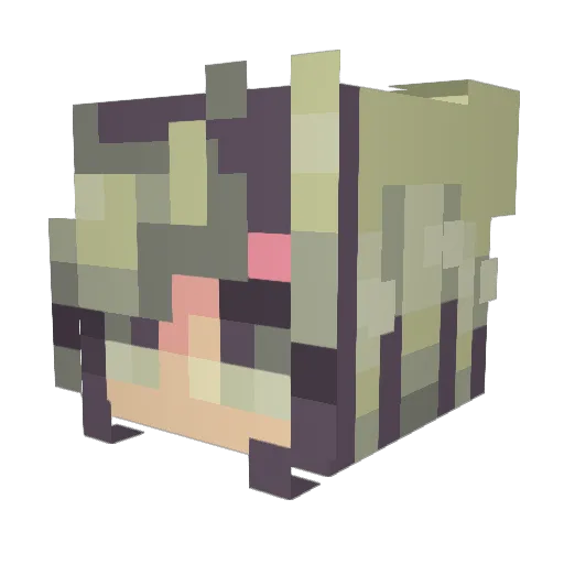 DuckAngst Minecraft avatar head, 3D render