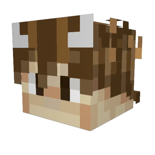 DuckBrain101 Minecraft avatar head, 3D render
