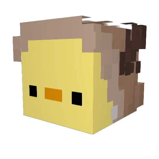 DuckBrawler Minecraft avatar head, 3D render