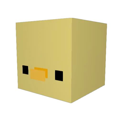 DuckCraft1818 Minecraft avatar head, 3D render