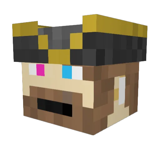 DuckDragon Minecraft avatar head, 3D render