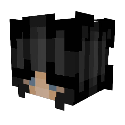 DuckDuckBrown07 Minecraft avatar head, 3D render