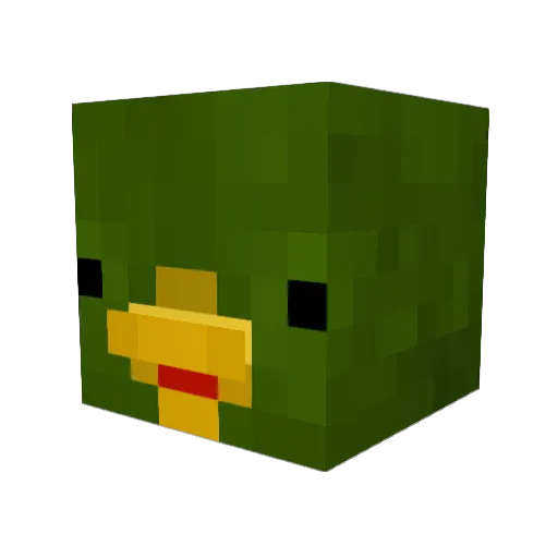 DuckFive Minecraft avatar head, 3D render