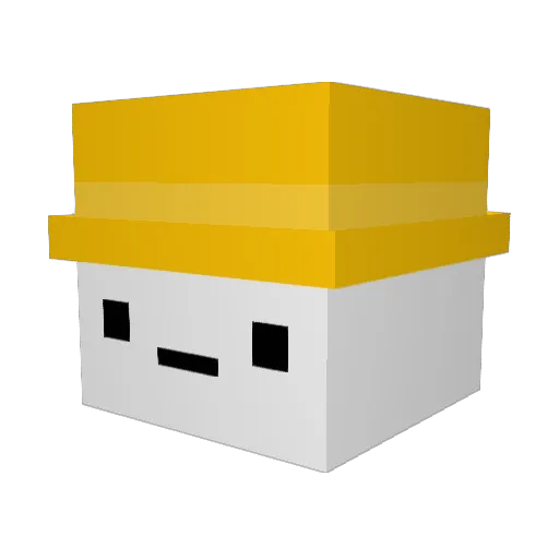 DuckFj0rth Minecraft avatar head, 3D render