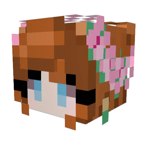 DuckGoSplat Minecraft avatar head, 3D render