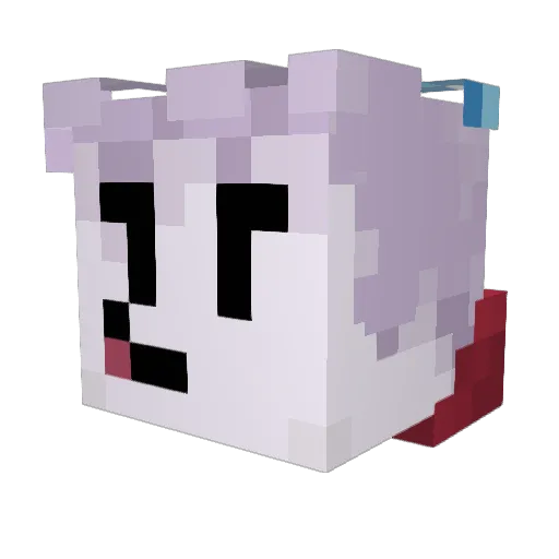 DuckGoose9254 Minecraft avatar head, 3D render