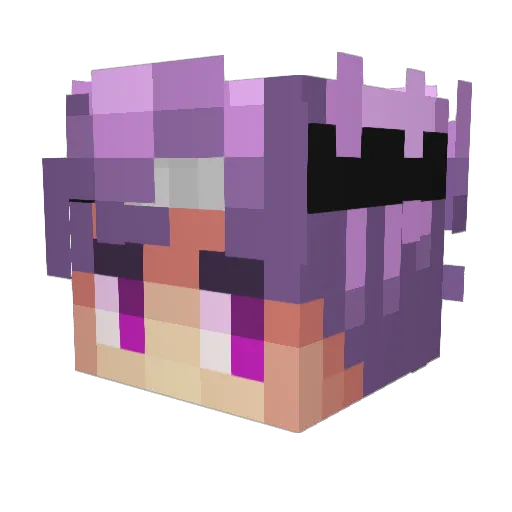 DuckHub954 Minecraft avatar head, 3D render