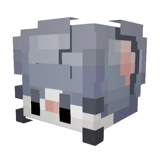 DuckHunt Minecraft avatar head, 3D render