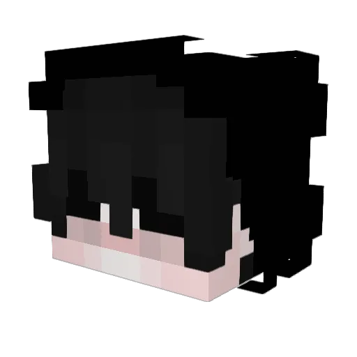DuckKing1230 Minecraft avatar head, 3D render