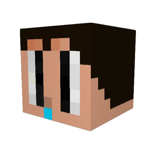DuckLIT12 Minecraft avatar head, 3D render