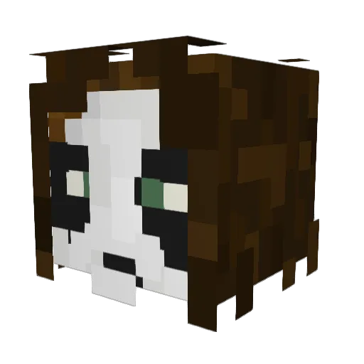 DuckLL Minecraft avatar head, 3D render