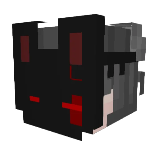 DuckMafia2860 Minecraft avatar head, 3D render