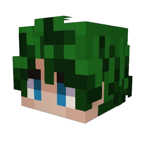 DuckManiac__ Minecraft avatar head, 3D render