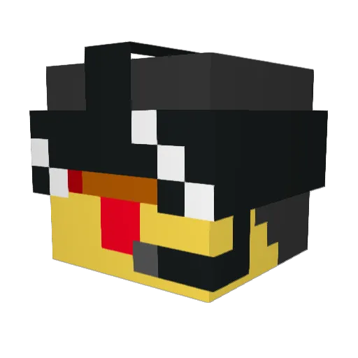 DuckMasterJoost Minecraft avatar head, 3D render