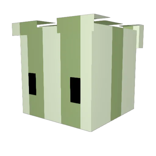 DuckNinja1 Minecraft avatar head, 3D render