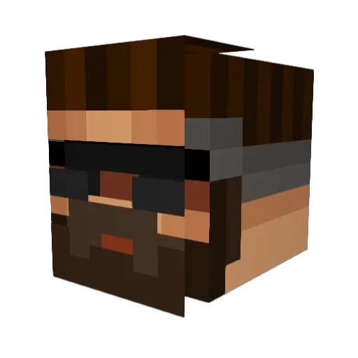 DuckOnQuackers Minecraft avatar head, 3D render