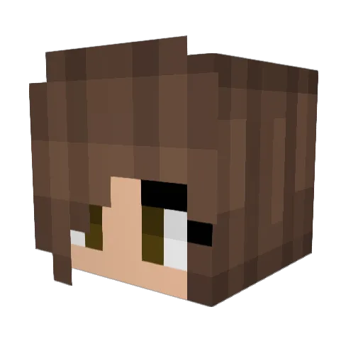 DuckPotatoNugget Minecraft avatar head, 3D render