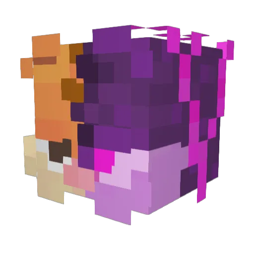 DuckSauceo Minecraft avatar head, 3D render