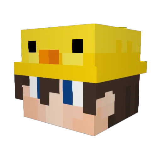 DuckSea Minecraft avatar head, 3D render