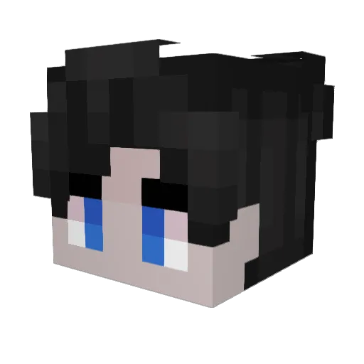 DuckStrafer Minecraft avatar head, 3D render