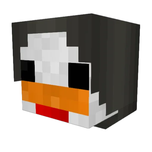 DuckTapeNinja Minecraft avatar head, 3D render