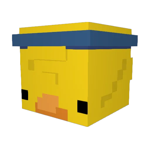 DuckTopi Minecraft avatar head, 3D render