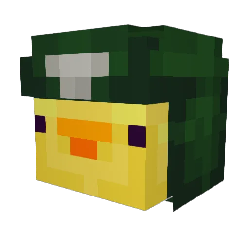 DuckWick Minecraft avatar head, 3D render