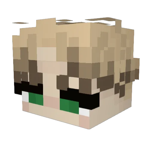 DuckX37 Minecraft avatar head, 3D render