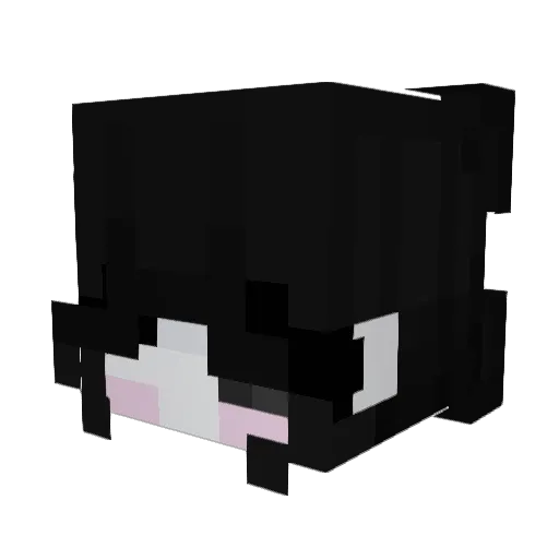 DuckXD_ Minecraft avatar head, 3D render