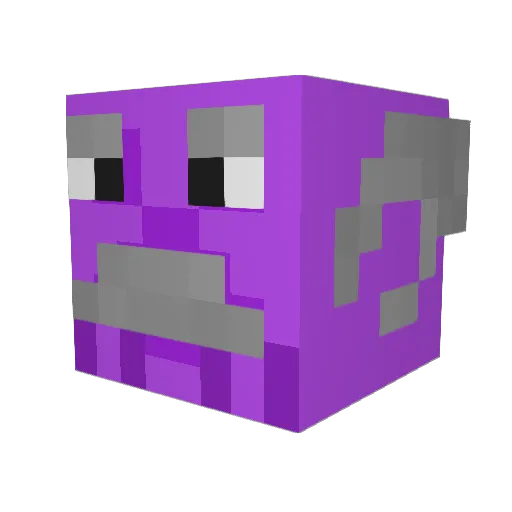 DuckYruleZz Minecraft avatar head, 3D render