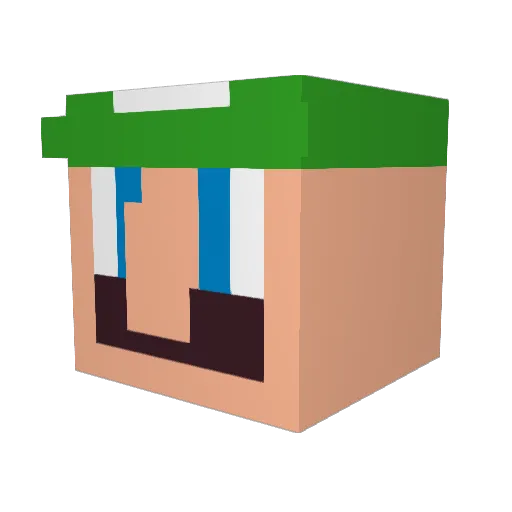 Duck_Birch Minecraft avatar head, 3D render