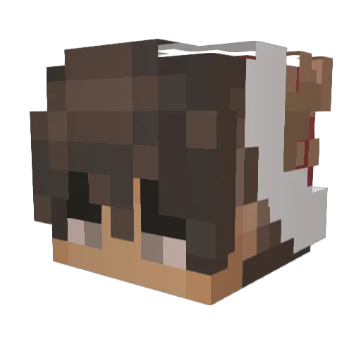 Duck_Editz Minecraft avatar head, 3D render